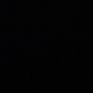 Meet your Posher, Bianca